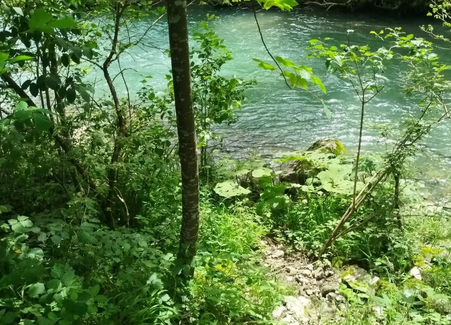 Chalet 8 Personnes + Grand Terrain Et Riviere Entremont France